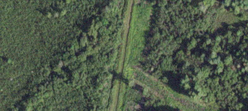 Littlefork, MN 56653