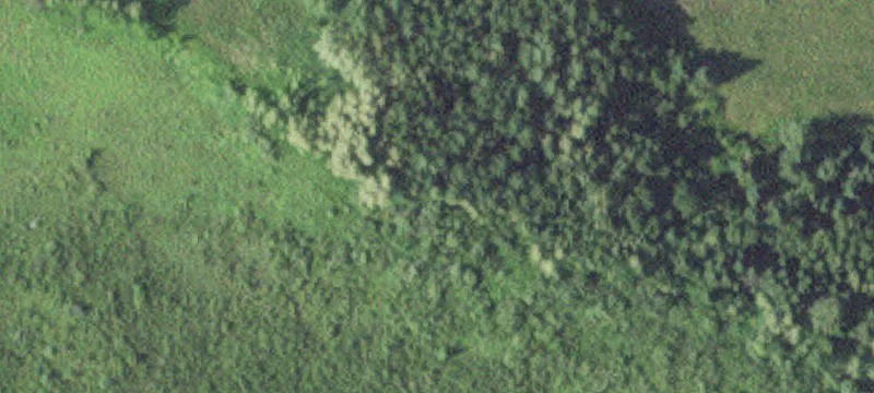 Shevlin, MN 56676