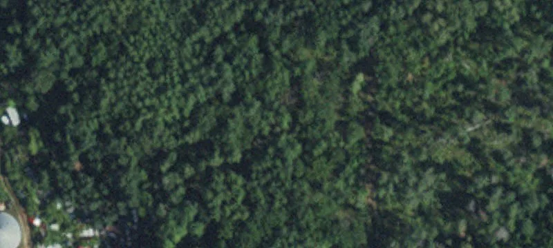 Greenbush, MN 56726