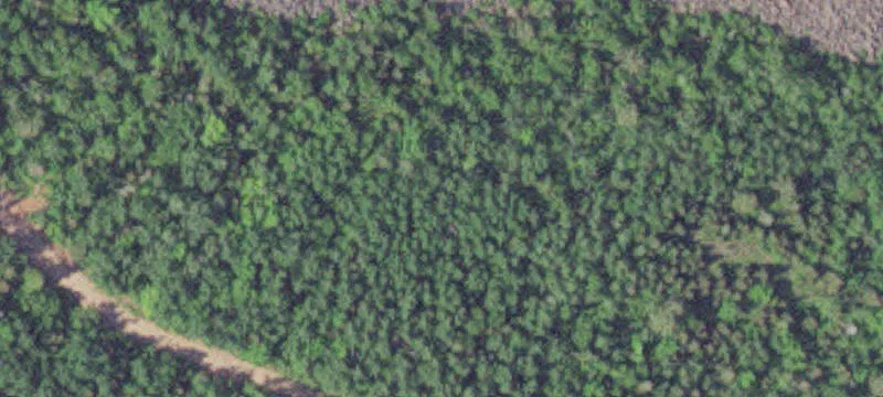 Silver Bay, MN 55614