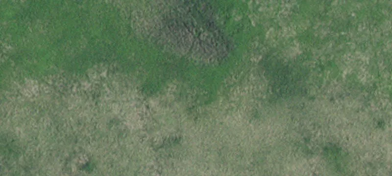 Bellingham, MN 56212