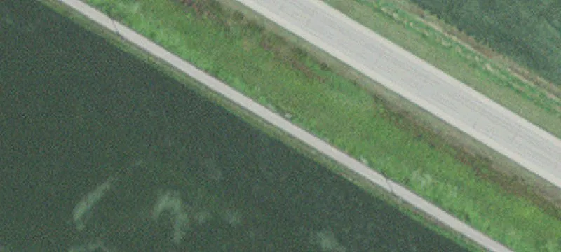Adams, MN 55909