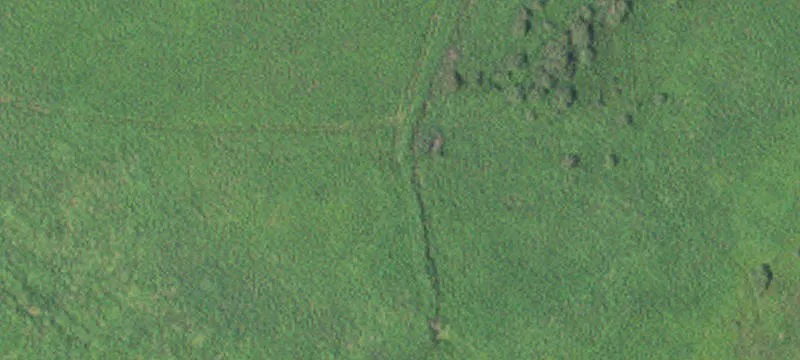 Sebeka, MN 56477