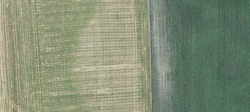 Winthrop, MN 55396