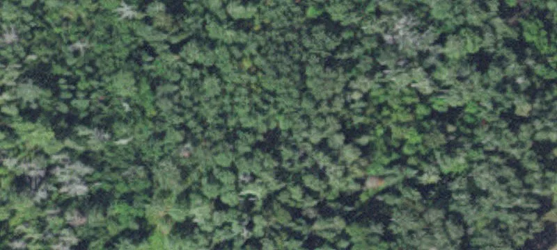 Bigfork, MN 56628