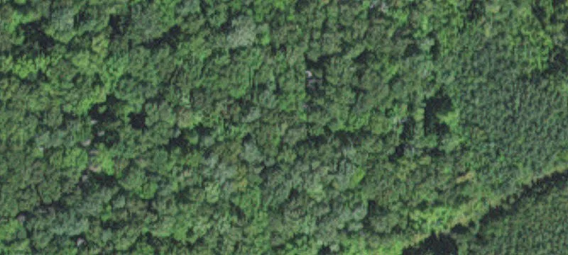 Tamarack, MN 55787