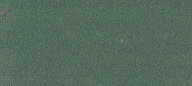 Wood Lake, MN 56297