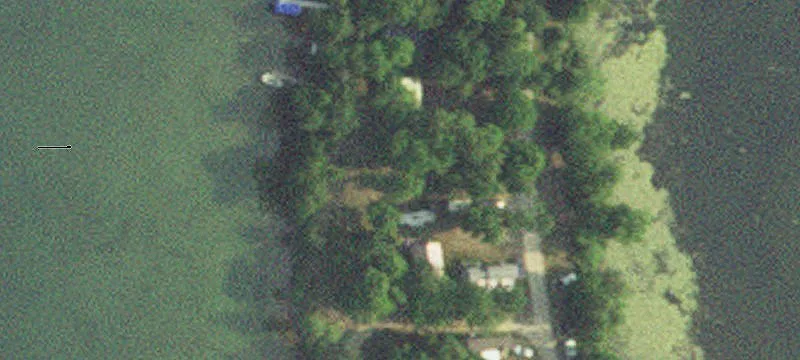 33776 Loon Dr