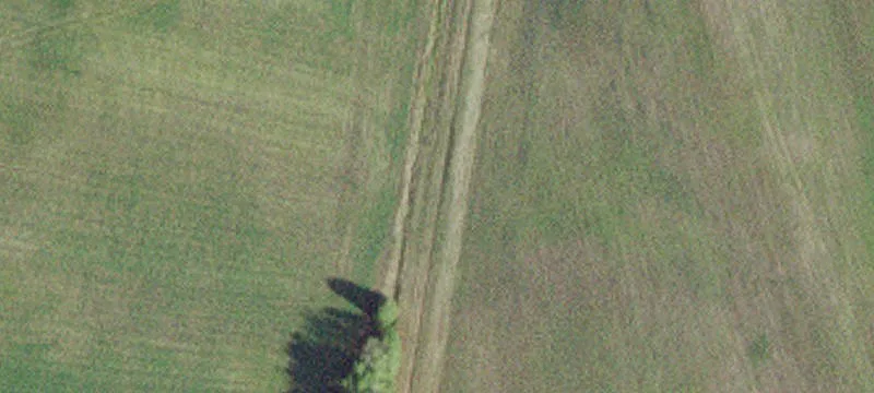 Littlefork, MN 56653