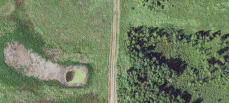 Comfrey, MN 56019