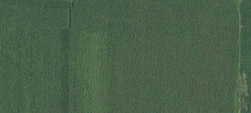 Callaway, MN 56521