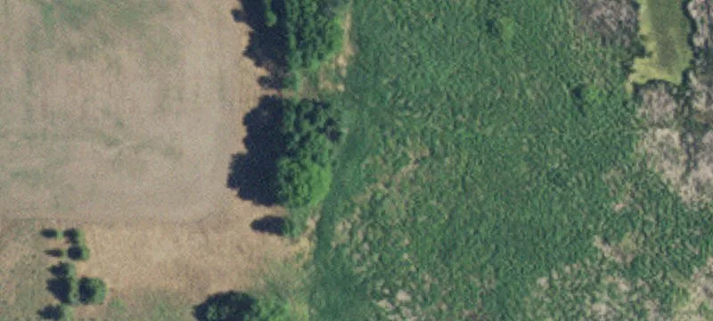 Long Prairie, MN 56347