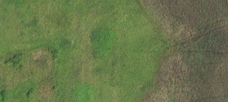 Ogema, MN 56569