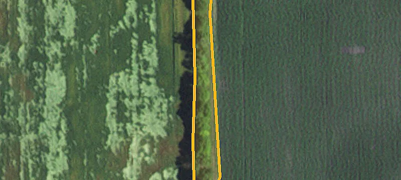 Chokio, MN 56221