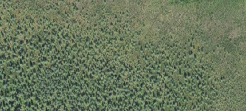 Tamarack, MN 55787