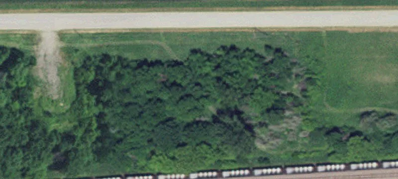 Sacred Heart, MN 56285