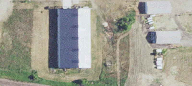 Hector, MN 55342