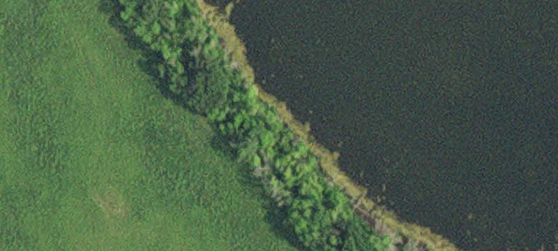 Ogema, MN 56569