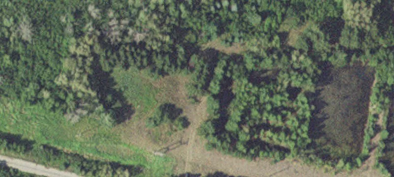 Solway, MN 56678