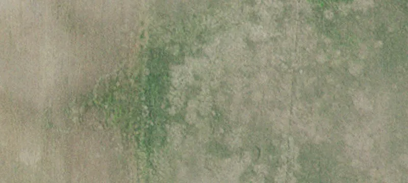 Dassel, MN 55325