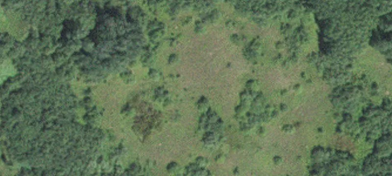 Tamarack, MN 55787