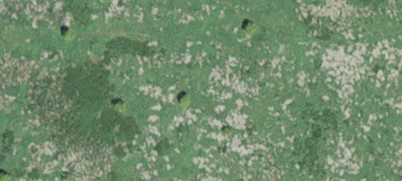 Glenville, MN 56036