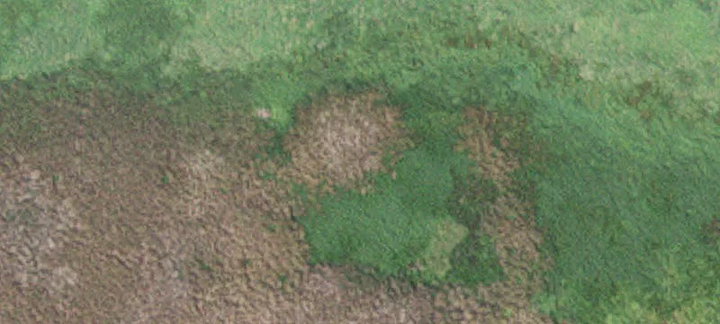 Comfrey, MN 56019