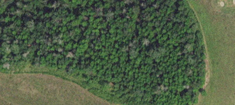 Angle Inlet, MN 56711