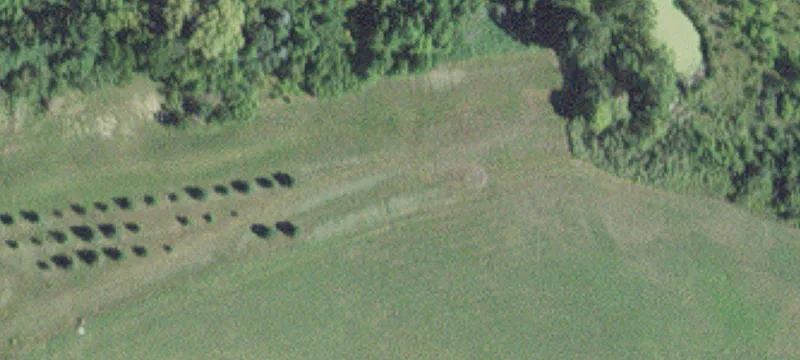 25026 Us Hwy 218