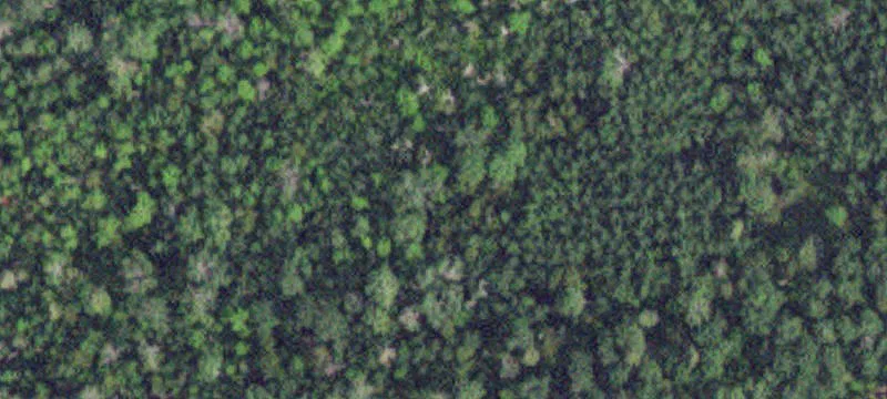 Angle Inlet, MN 56711