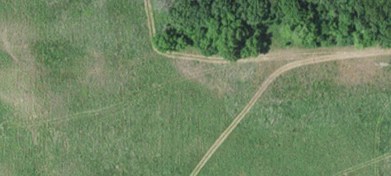 Watkins, MN 55389