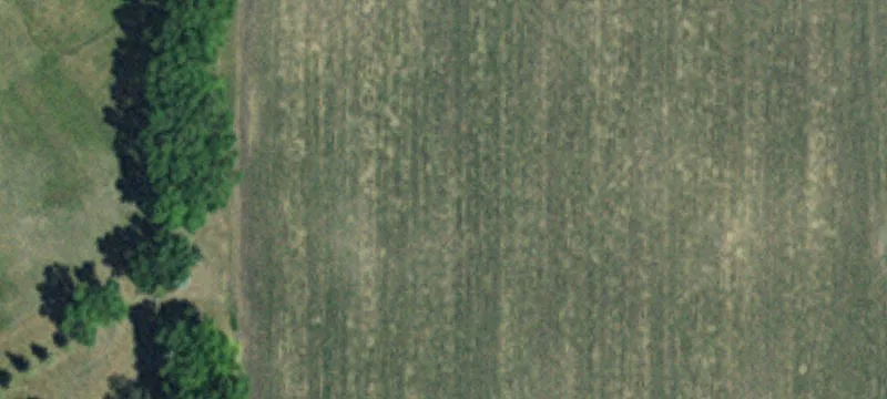 Herman, MN 56248