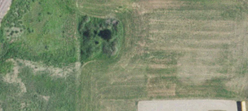 Cottonwood, MN 56229