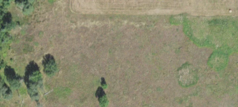 Tamarack, MN 55787