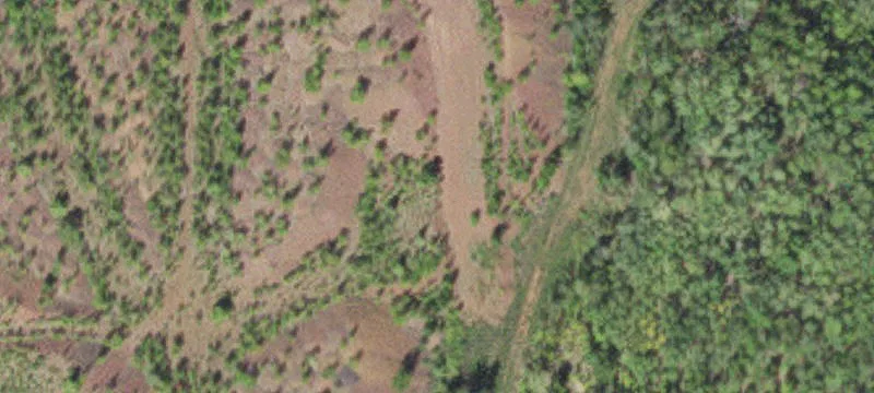 Grand Rapids, MN 55744