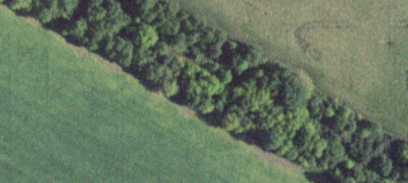 Hwy 56