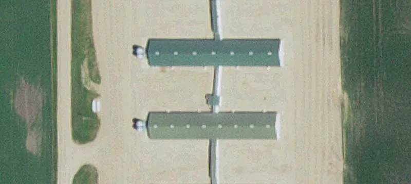 Morris, MN 56267