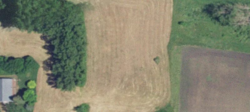 Olivia, MN 56277
