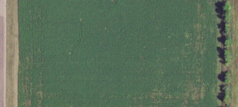 Windom, MN 56101