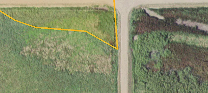 Comfrey, MN 56019