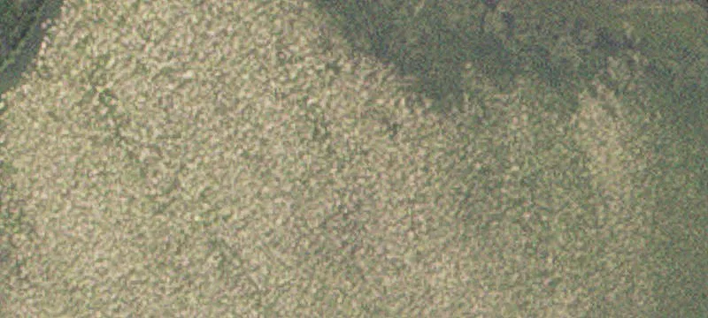 Callaway, MN 56521