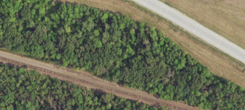 Erskine, MN 56535