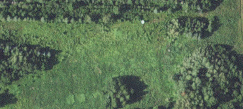 Shevlin, MN 56676