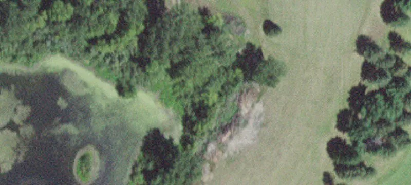 14927 State Hwy 56
