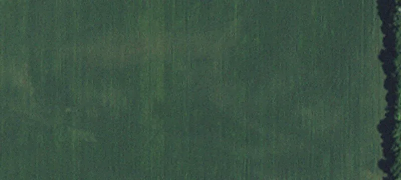 Chokio, MN 56221
