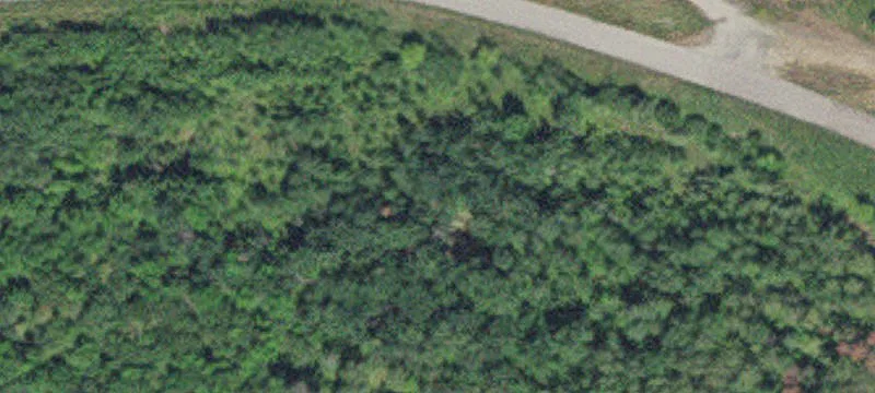 International Falls, MN 56649
