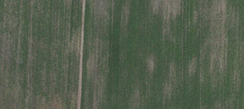 Oklee, MN 56742