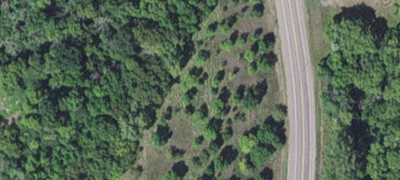 New Ulm, MN 56073