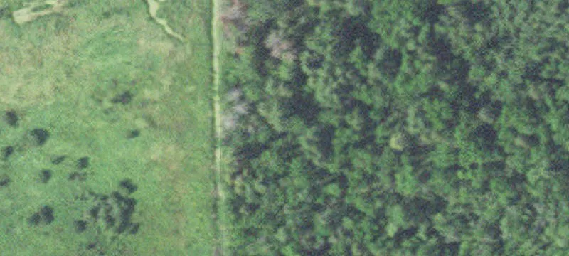 36389 Us Hwy 169