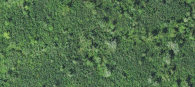 Bovey, MN 55709